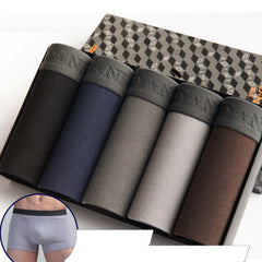 5Pcs/lot Men Underwear Cotton Boxer