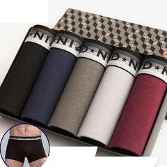 5Pcs/lot Men Underwear Cotton Boxer